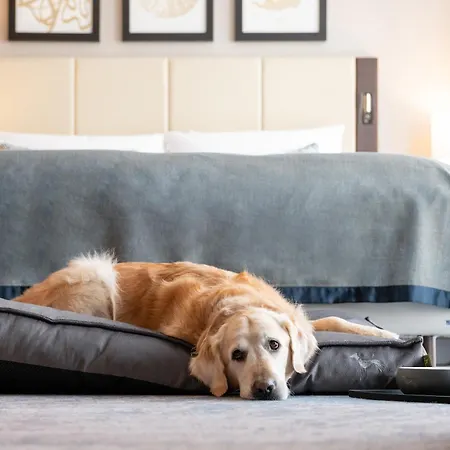 Koe59 - Member Of Hommage Luxury Collection Szálloda