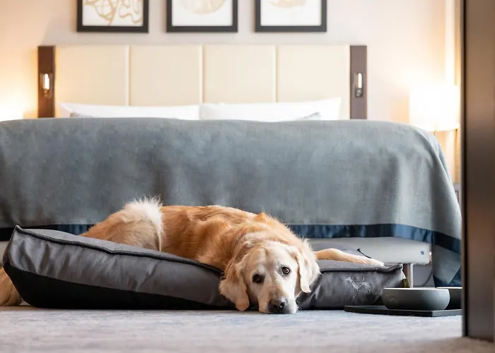 Koe59 - Member Of Hommage Luxury Collection Otel